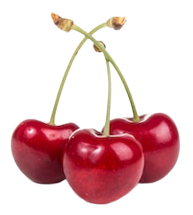 cherry cbd gummies